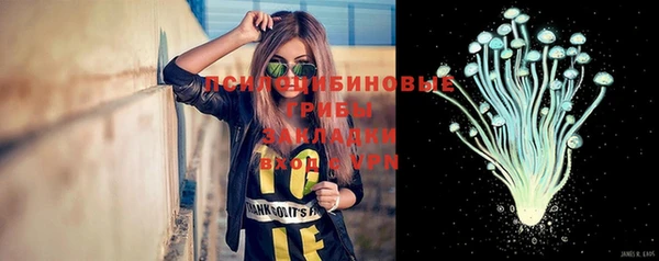 трава Краснослободск