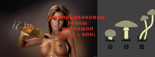 гидропоника Краснотурьинск