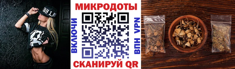 Купить закладки  Ярославль  Галлюциногенные грибы GOLDEN TEACHER 